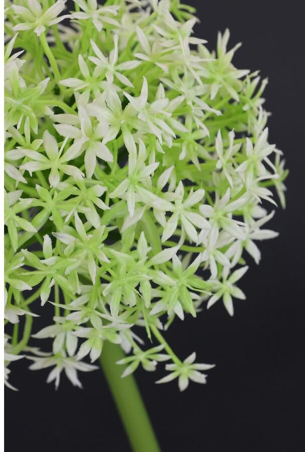 I.GE.A. Kunstbloem Allium sierlook Stelenbloem kunstbloemen(2 stuks) - Foto 3