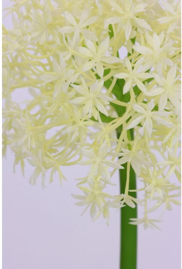 I.GE.A. Kunstbloem Allium sierlook Stelenbloem kunstbloemen(2 stuks) - Foto 3