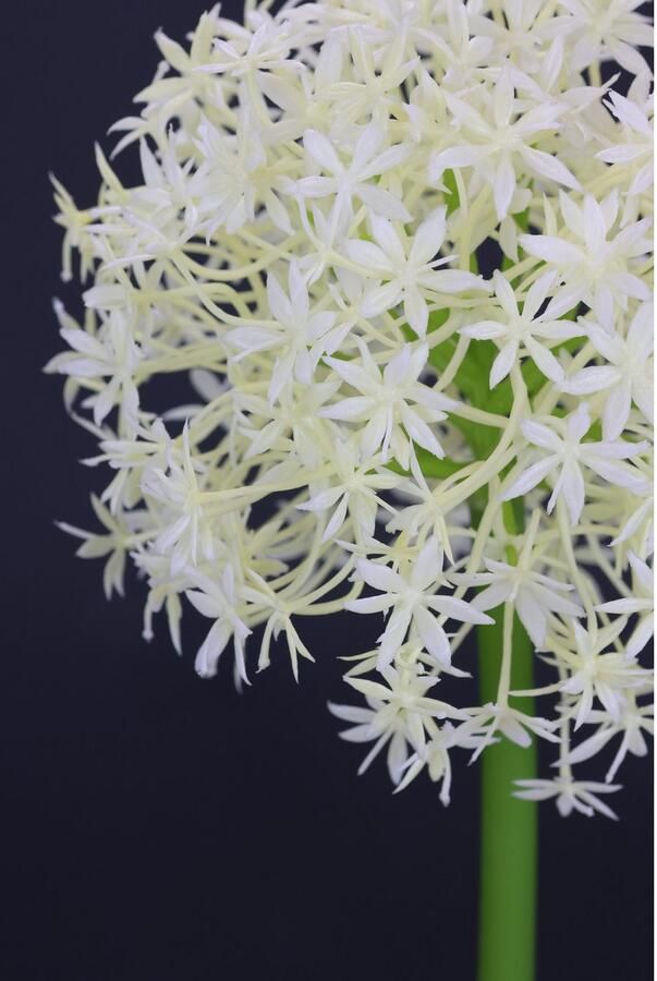 I.GE.A. Kunstbloem Allium sierlook Stelenbloem kunstbloemen(2 stuks) - Foto 4