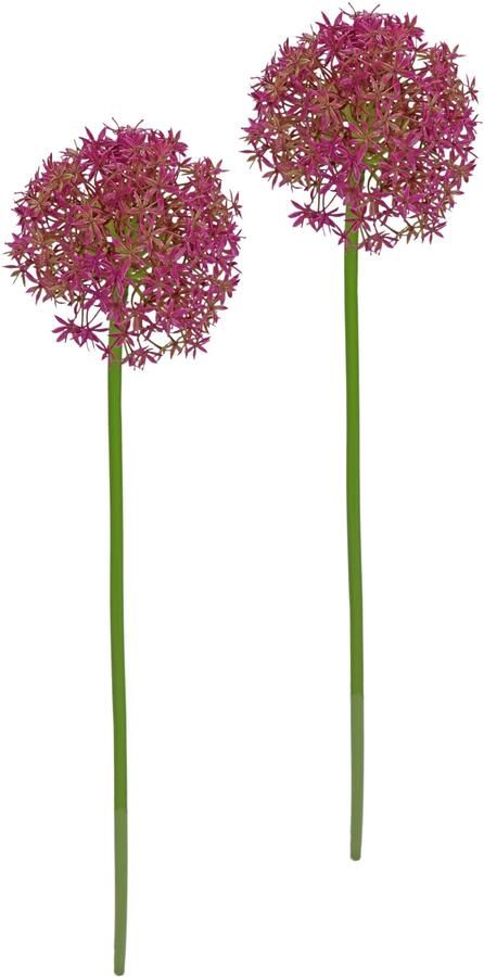 I.GE.A. Kunstbloem Allium sierlook Stelenbloem kunstbloemen(2 stuks) - Foto 3