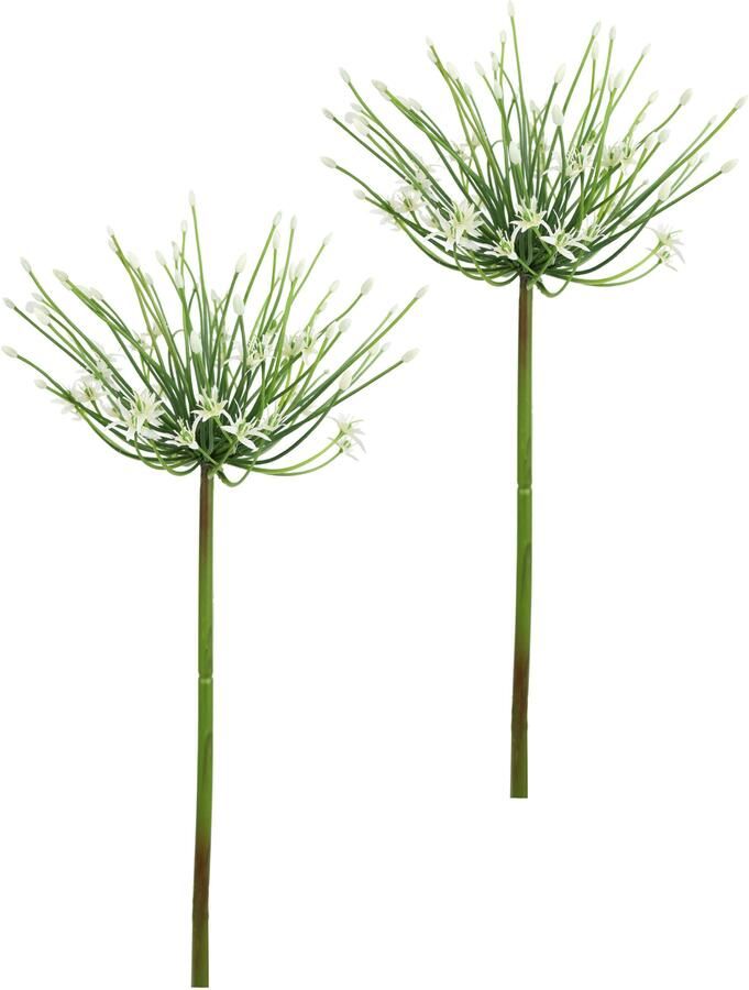 I.GE.A. Kunstbloem Allium sierlook Stelenbloem kunstbloemen(2 stuks) - Foto 3