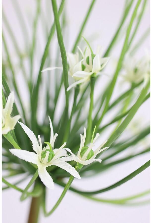 I.GE.A. Kunstbloem Allium sierlook Stelenbloem kunstbloemen(2 stuks) - Foto 2