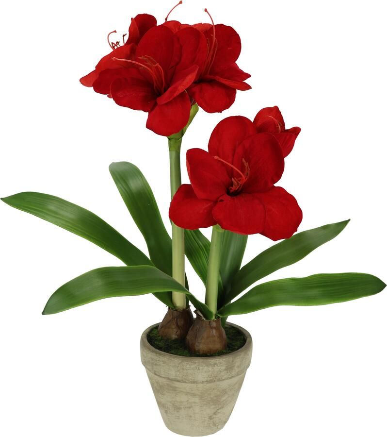 I.GE.A. Kunstbloem Amaryllis in pot 50cm bloem kerstbloem kerstdecoratie winterbloem floristik (1 stuk) - Foto 4