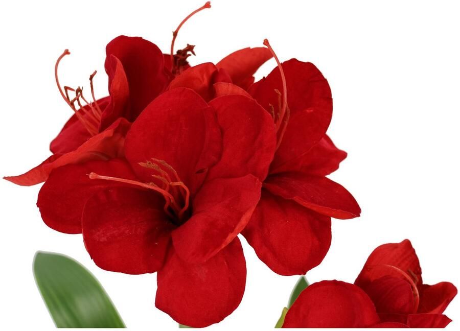 I.GE.A. Kunstbloem Amaryllis in pot 50cm bloem kerstbloem kerstdecoratie winterbloem floristik (1 stuk) - Foto 2