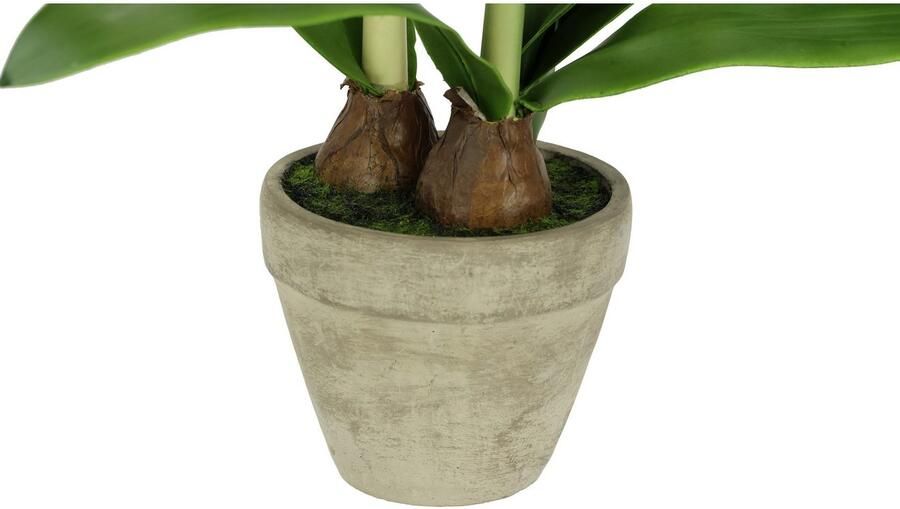 I.GE.A. Kunstbloem Amaryllis in pot 50cm bloem kerstbloem kerstdecoratie winterbloem floristik (1 stuk) - Foto 3