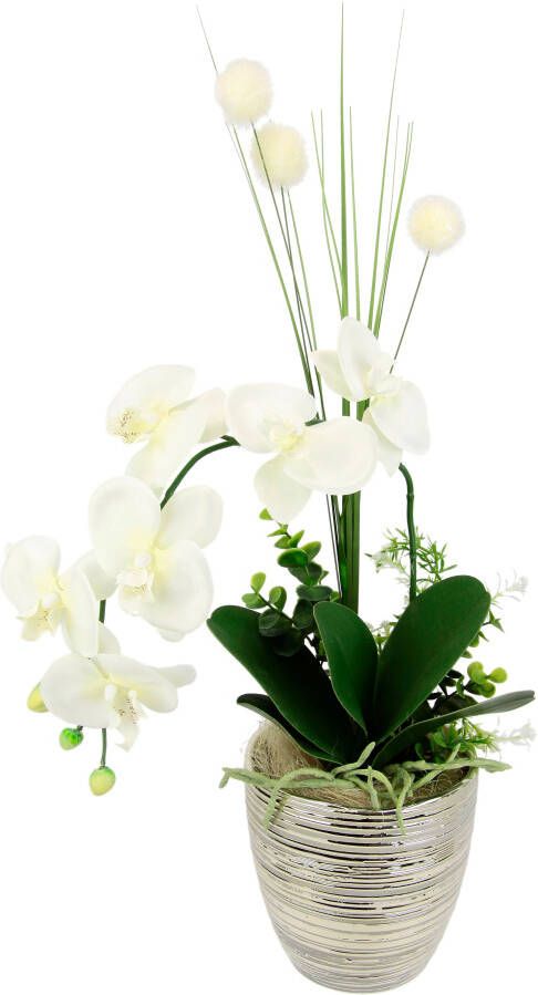 I.GE.A. Kunstbloem Arrangement orchidee gras (1 stuk) - Foto 3