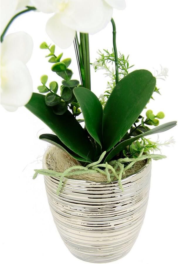 I.GE.A. Kunstbloem Arrangement orchidee gras (1 stuk) - Foto 2