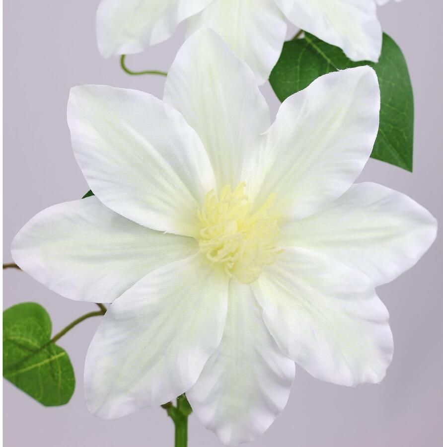 I.GE.A. Kunstbloem Clematisrank waldebe Tak enkele bloem stelen bloem 2-delige set (2 stuks)