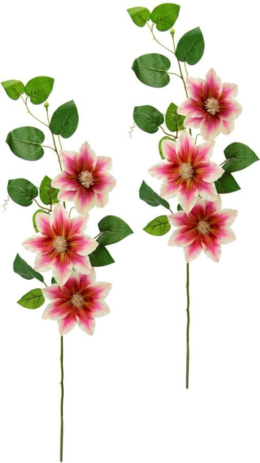 I.GE.A. Kunstbloem Clematisrank waldebe Tak enkele bloem stelen bloem 2-delige set (2 stuks) - Foto 3