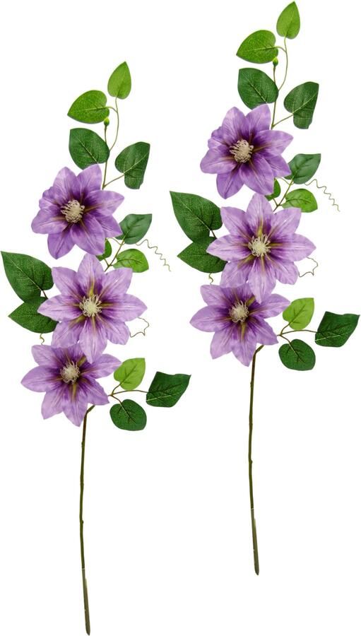 I.GE.A. Kunstbloem Clematisrank waldebe Tak enkele bloem stelen bloem 2-delige set (2 stuks) - Foto 3