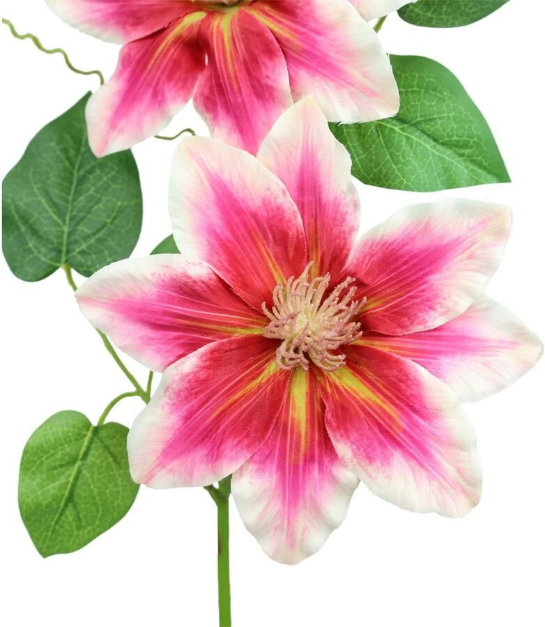 I.GE.A. Kunstbloem Clematisrank waldebe Tak enkele bloem stelen bloem 2-delige set (2 stuks) - Foto 2