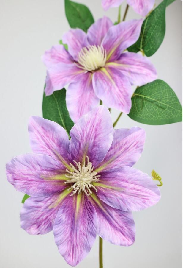 I.GE.A. Kunstbloem Clematisrank waldebe Tak enkele bloem stelen bloem 2-delige set (2 stuks) - Foto 2