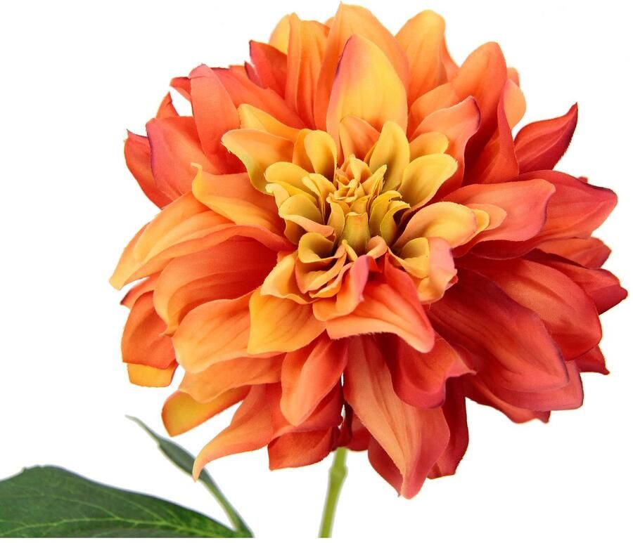 I.GE.A. Kunstbloem Dahlia Enkele bloem steelbloem 3-delige set (3 stuks) - Foto 2