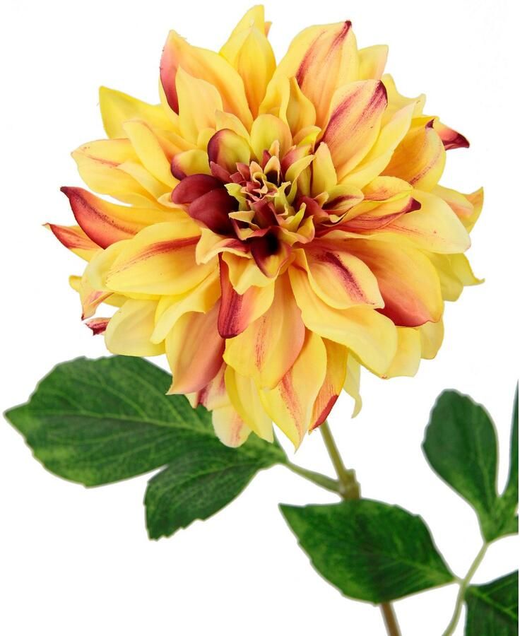 I.GE.A. Kunstbloem Dahlia Enkele bloem steelbloem 3-delige set (3 stuks) - Foto 2