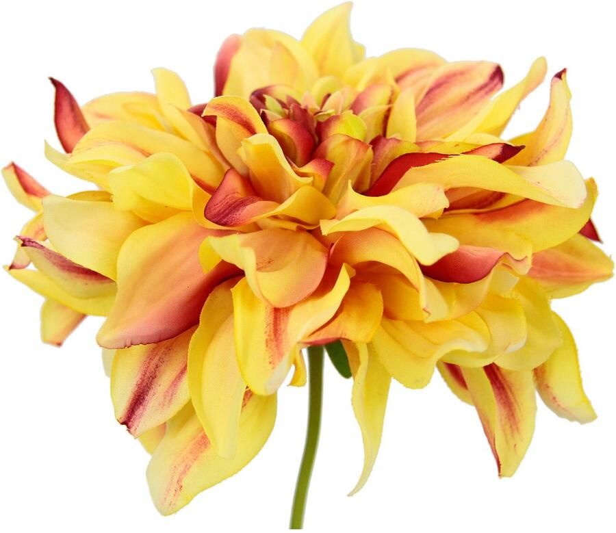 I.GE.A. Kunstbloem Dahlia Enkele bloem steelbloem 3-delige set (3 stuks)