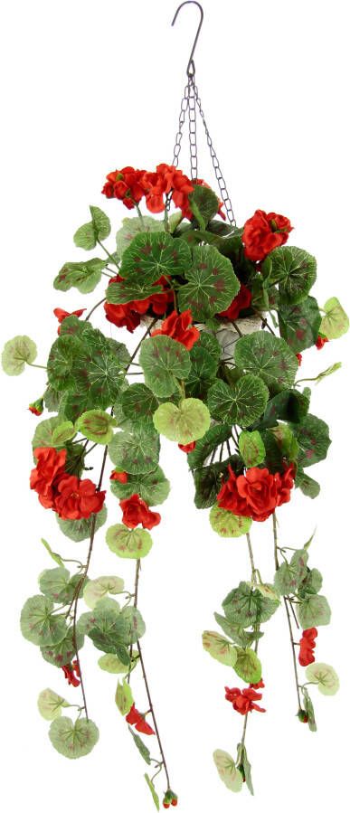 I.GE.A. Kunstbloem Geranien-Hänger mit Hängeampel Geranie Pflanze mit Blüten (1 stuk) - Foto 1