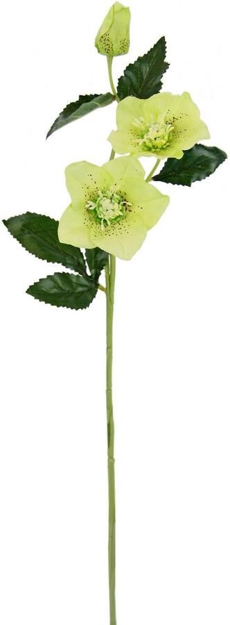 I.GE.A. Kunstbloem Kerstroos Kunstmatige zijden bloemen 5-delige set (5 stuks) - Foto 2