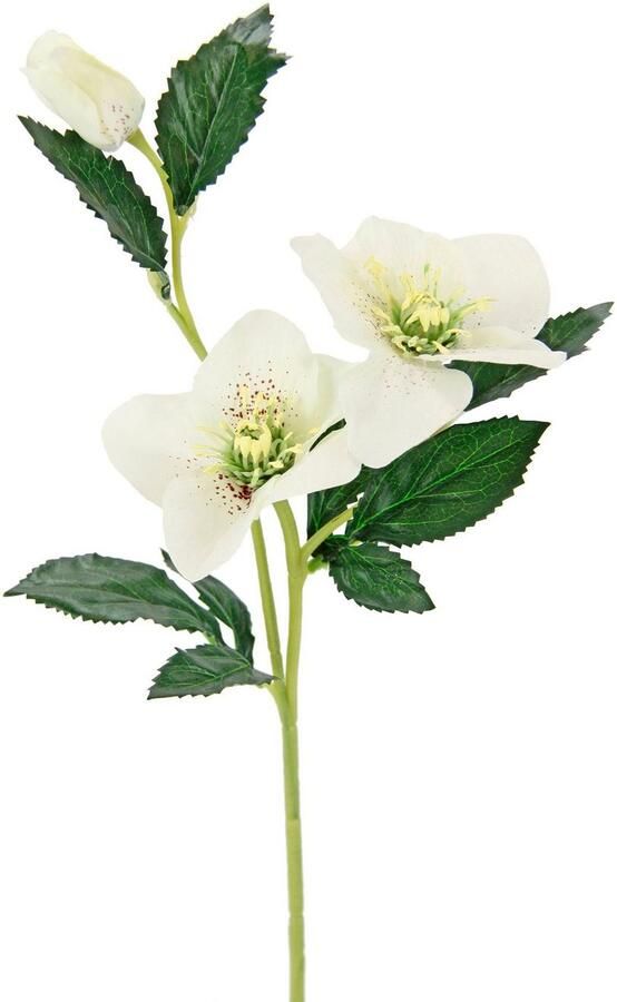 I.GE.A. Kunstbloem Kerstroos Kunstmatige zijden bloemen 5-delige set (5 stuks) - Foto 2