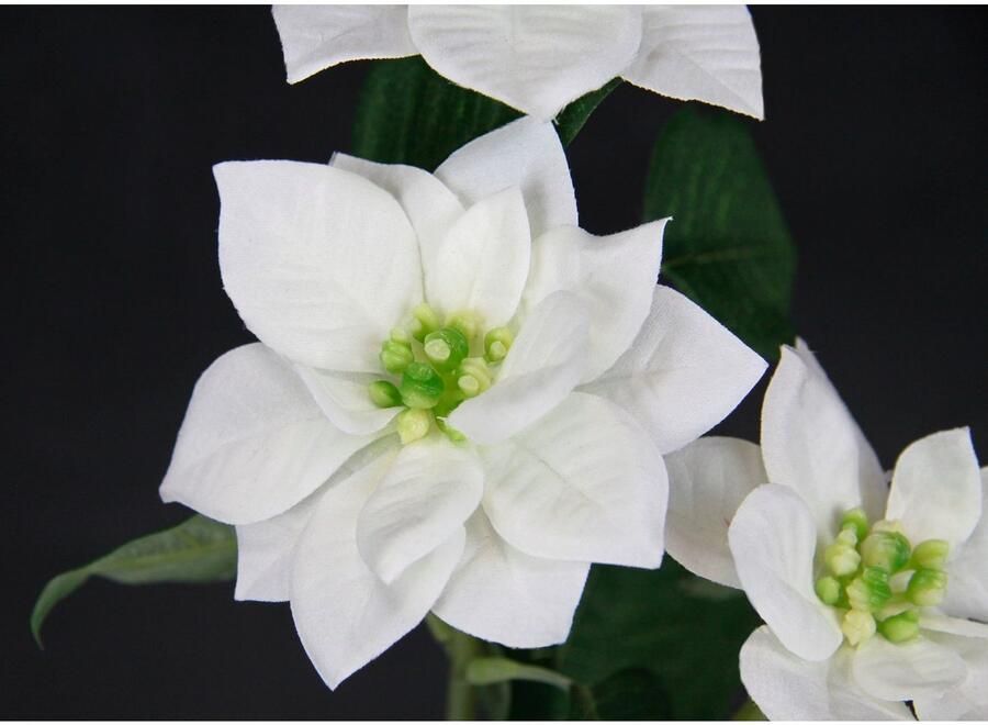 I.GE.A. Kunstbloem Kerstster Kunstmatige poinsettia tak 5-delige set (5 stuks) - Foto 2