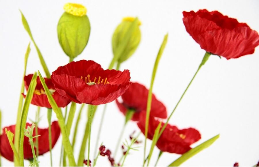 I.GE.A. Kunstbloem Klaprozenstruik in keramische vaas Bloemen klaproos klaproosstruik boeket zijden bloemen (1 stuk) - Foto 3