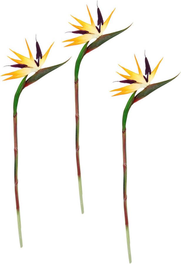 I.GE.A. Kunstbloem Künstliche Blume Strelitzie Paradiesvogelblume Exotischer Dekozweig (3 stuks) - Foto 3