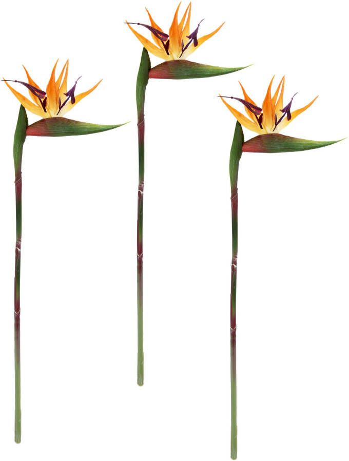 I.GE.A. Kunstbloem Künstliche Blume Strelitzie Paradiesvogelblume Exotischer Dekozweig (3 stuks) - Foto 3