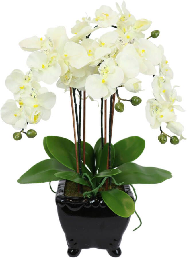 I.GE.A. Kunstbloem Künstliche Orchidee in Schale Phalaenopsis Kunstblume Blume (1 stuk) - Foto 3