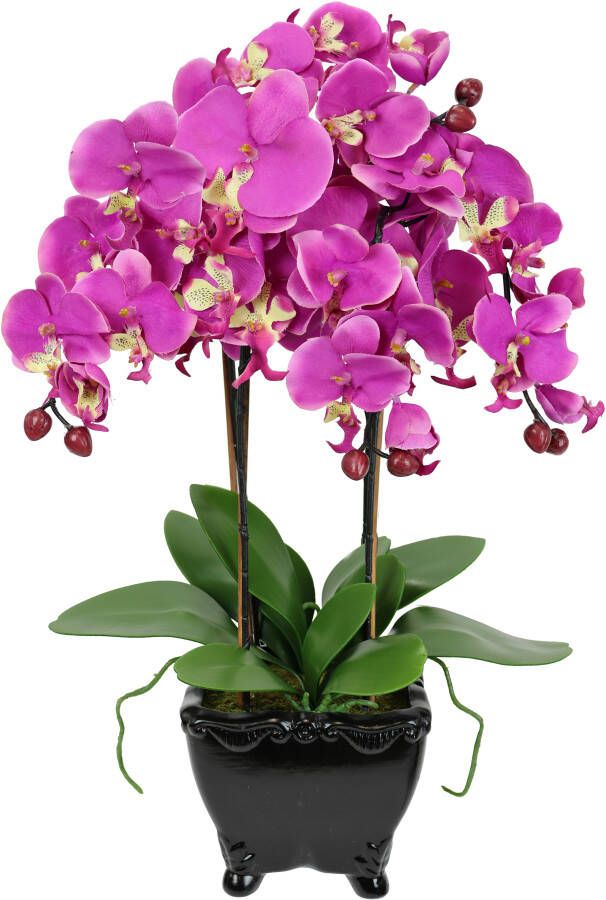 I.GE.A. Kunstbloem Künstliche Orchidee in Schale Phalaenopsis Kunstblume Blume (1 stuk) - Foto 2