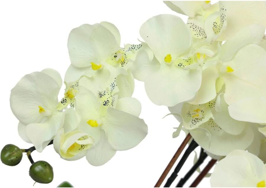 I.GE.A. Kunstbloem Kunstmatige orchidee in schaal phalaenopsis kunstbloem (1 stuk) - Foto 3