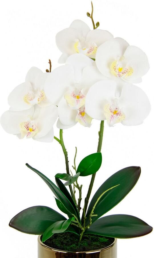 I.GE.A. Kunstbloem Orchidee (1 stuk) - Foto 2