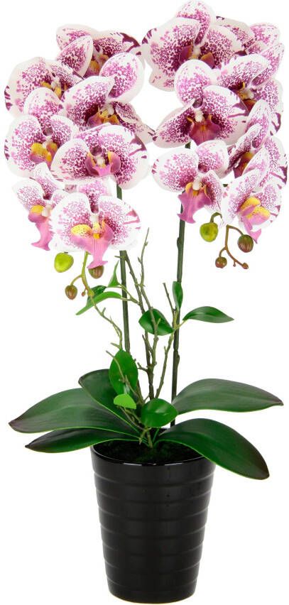 I.GE.A. Kunstbloem Orchidee