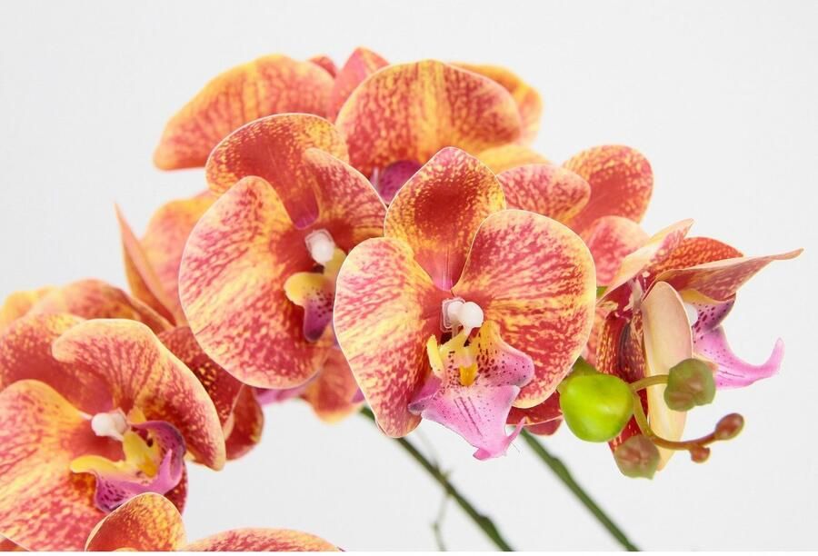 I.GE.A. Kunstbloem Orchidee In pot phalaenopsis orchidee phalaenopsis met bloempot bruiloft