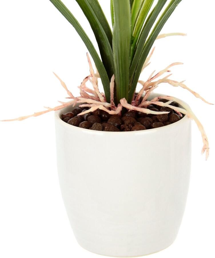 I.GE.A. Kunstbloem Orchidee Met bladeren in pot van keramiek kunstbloem Cymbidium-orchidee (1 stuk)