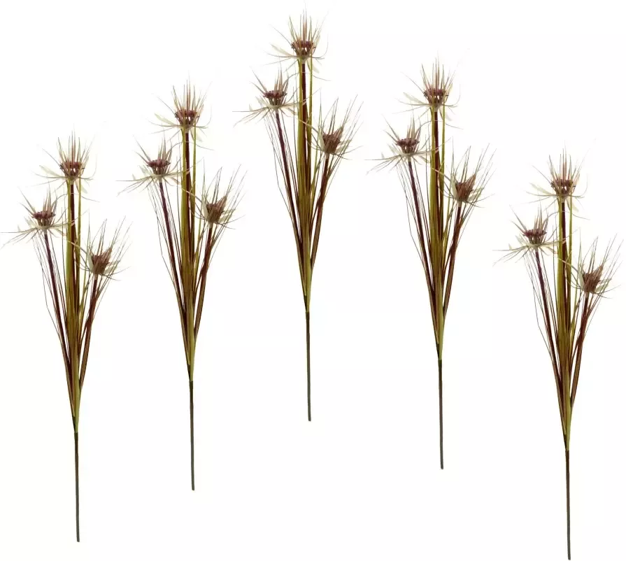 I.GE.A. Kunstbloem Papyrustak 5set van (5 stuks)