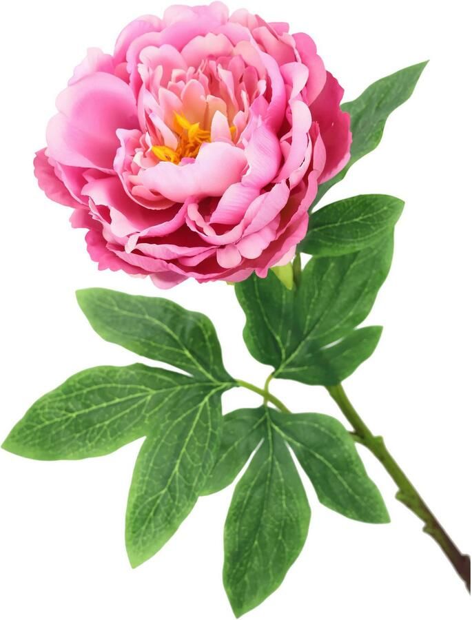 I.GE.A. Kunstbloem Pioenroos Pioenrozen enkele bloem set van 3 (3 stuks) - Foto 2