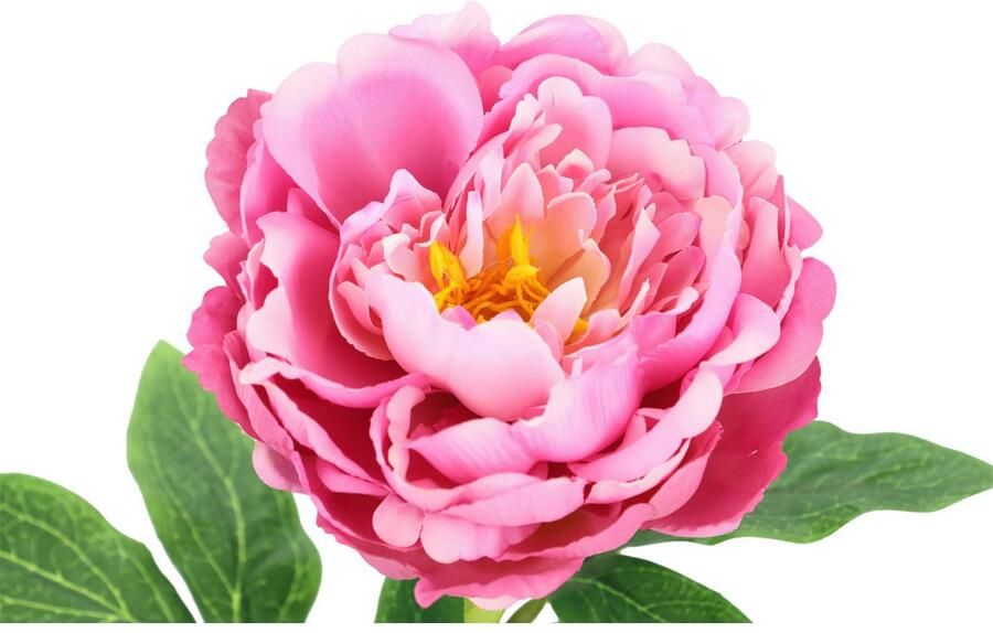 I.GE.A. Kunstbloem Pioenroos Pioenrozen enkele bloem set van 3 (3 stuks) - Foto 4