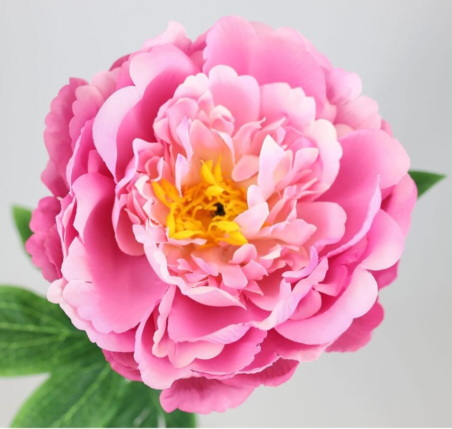 I.GE.A. Kunstbloem Pioenroos Pioenrozen enkele bloem set van 3 (3 stuks)