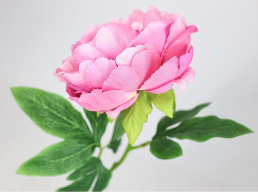 I.GE.A. Kunstbloem Pioenroos Pioenrozen enkele bloem set van 3 (3 stuks) - Foto 3