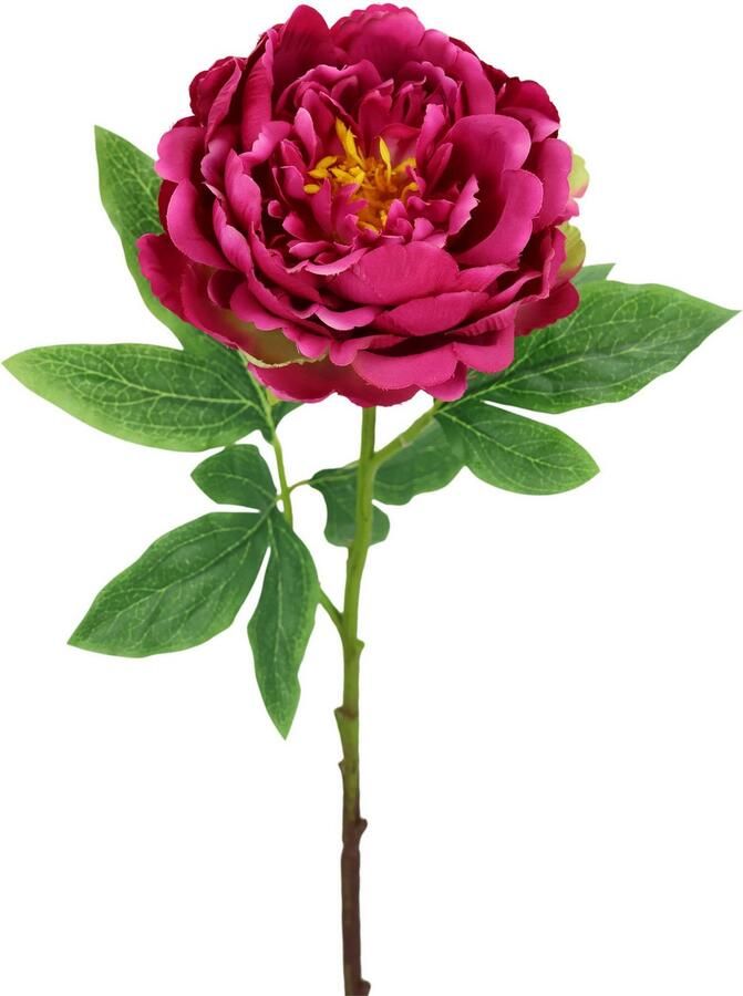 I.GE.A. Kunstbloem Pioenroos Pioenrozen enkele bloem set van 3 (3 stuks) - Foto 2
