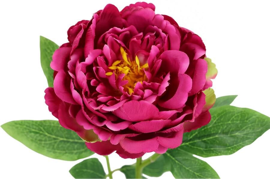 I.GE.A. Kunstbloem Pioenroos Pioenrozen enkele bloem set van 3 (3 stuks) - Foto 3