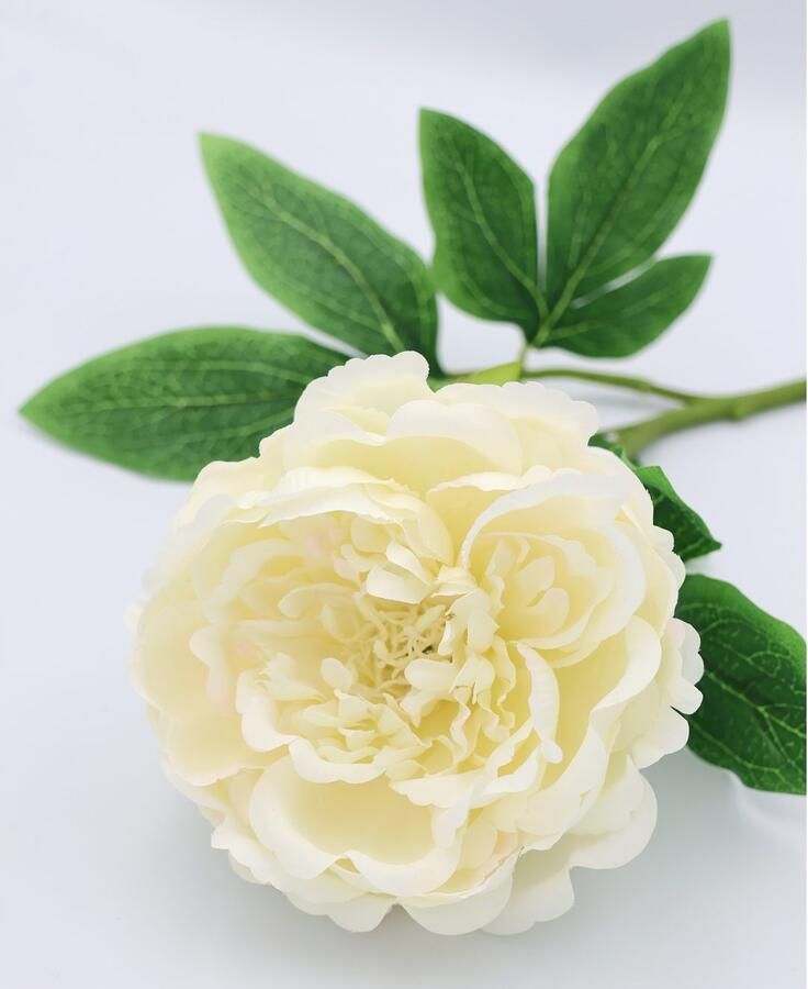 I.GE.A. Kunstbloem Pioenroos Pioenrozen enkele bloem set van 3 (3 stuks) - Foto 3