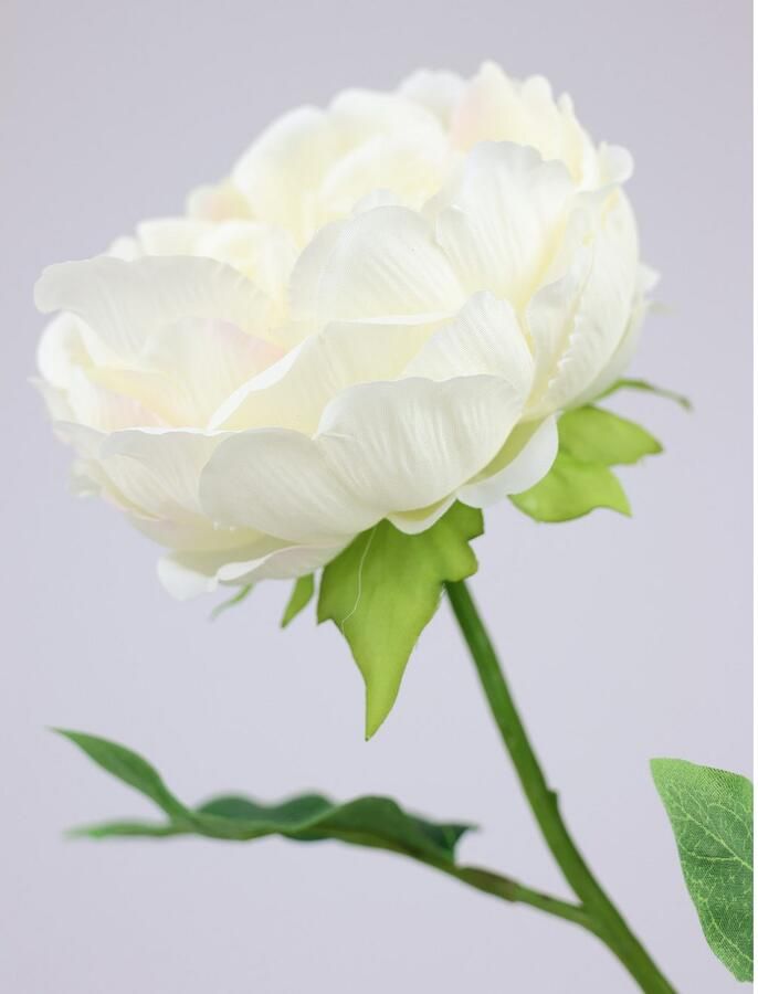 I.GE.A. Kunstbloem Pioenroos Pioenrozen enkele bloem set van 3 (3 stuks) - Foto 4