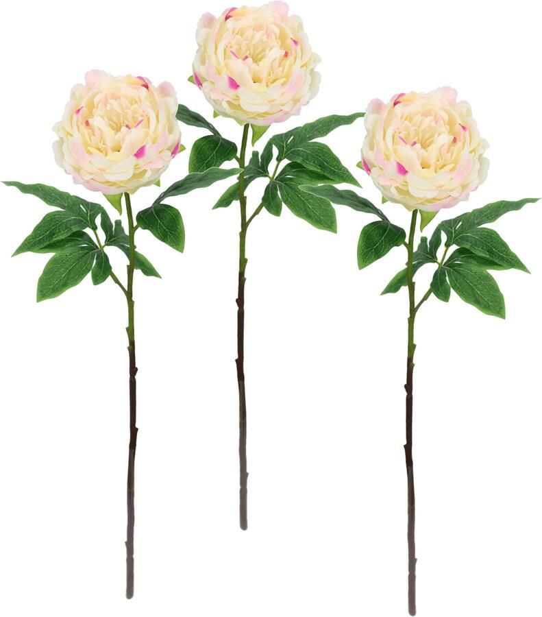 I.GE.A. Kunstbloem Pioenroos Pioenrozen enkele bloem set van 3 (3 stuks) - Foto 6