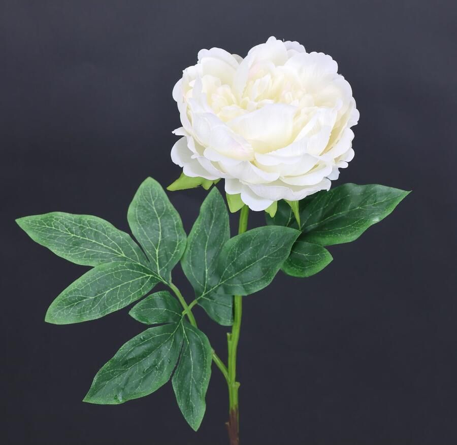 I.GE.A. Kunstbloem Pioenroos Pioenrozen enkele bloem set van 3 (3 stuks) - Foto 2