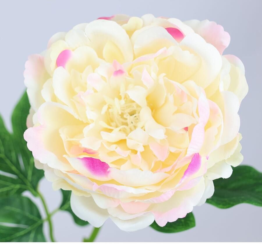 I.GE.A. Kunstbloem Pioenroos Pioenrozen enkele bloem set van 3 (3 stuks) - Foto 2