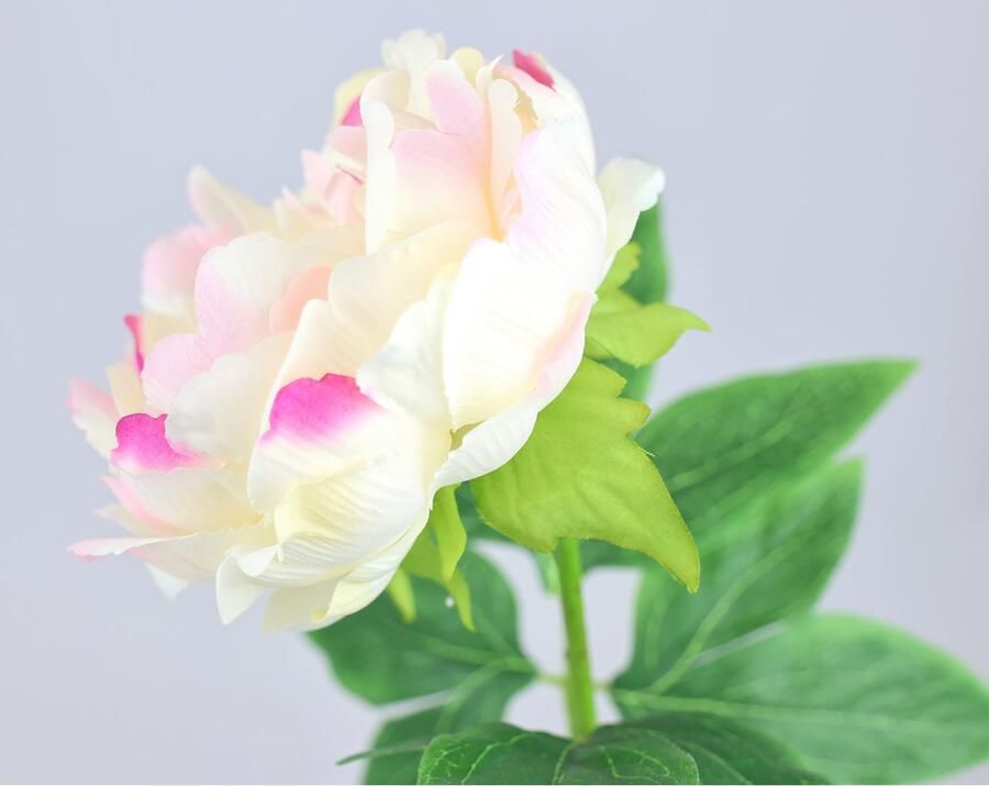 I.GE.A. Kunstbloem Pioenroos Pioenrozen enkele bloem set van 3 (3 stuks) - Foto 4