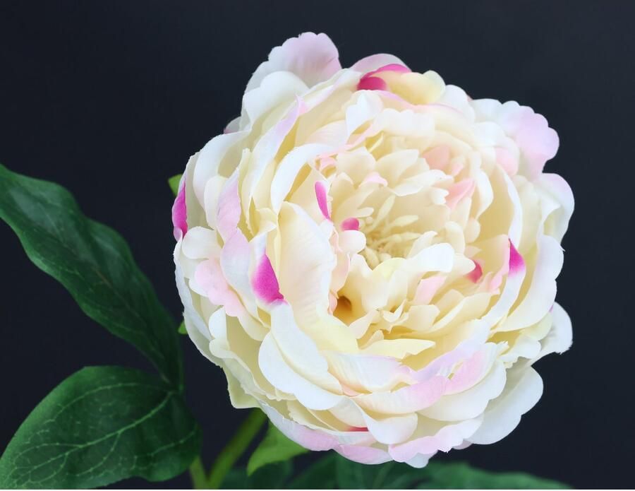 I.GE.A. Kunstbloem Pioenroos Pioenrozen enkele bloem set van 3 (3 stuks) - Foto 5