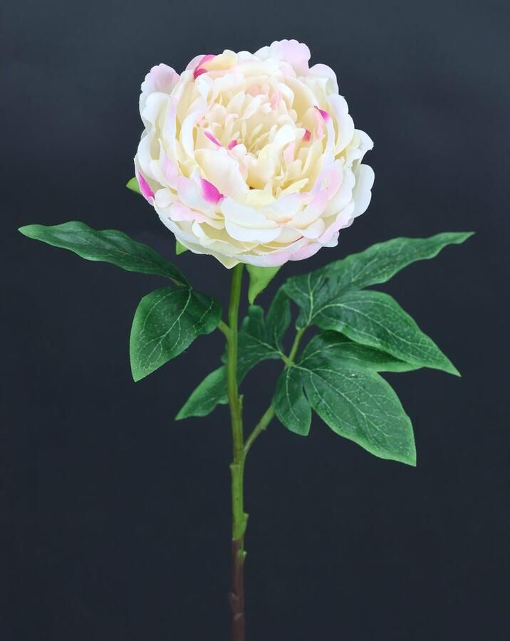 I.GE.A. Kunstbloem Pioenroos Pioenrozen enkele bloem set van 3 (3 stuks) - Foto 3