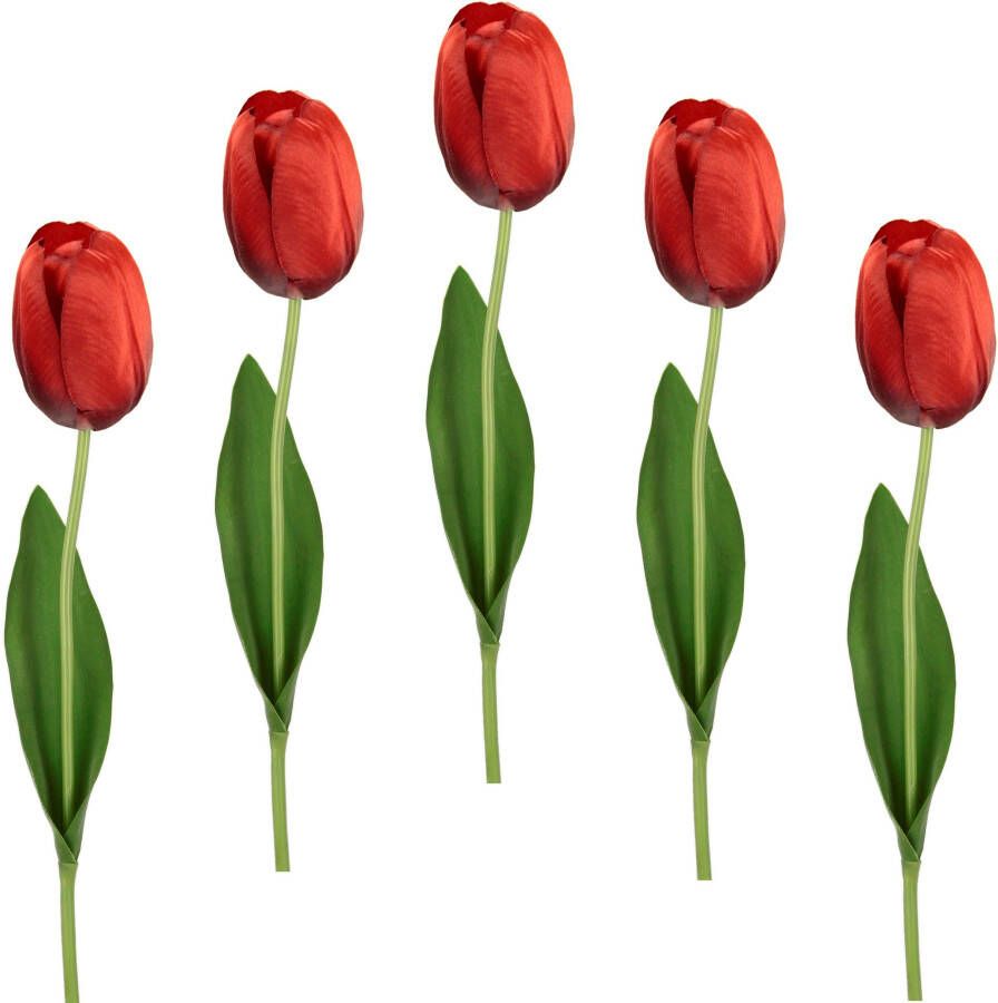 I.GE.A. Kunstbloem Real Touch Tulpen set van 5 kunst-tulpenknoppen kunstbloemen snijbloem (5 stuks)
