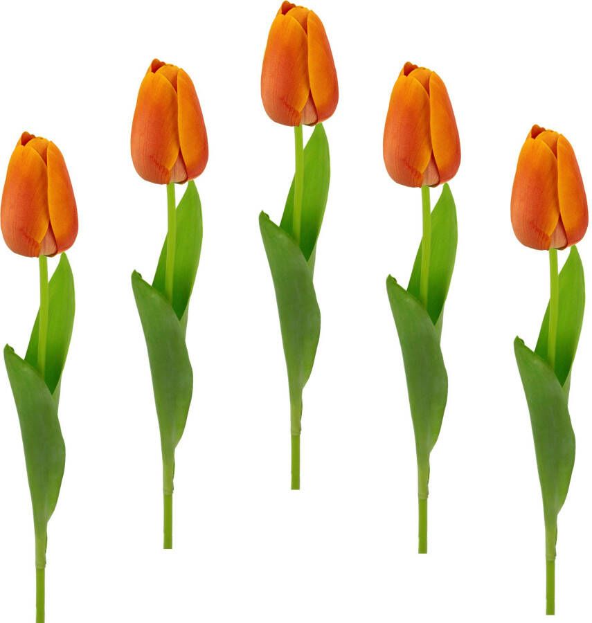 I.GE.A. Kunstbloem Real Touch Tulpen set van 5 kunst-tulpenknoppen kunstbloemen snijbloem (5 stuks) - Foto 3